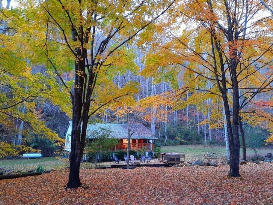 Creekside 1920'S Farmhouse Villa Bryson City Exterior foto