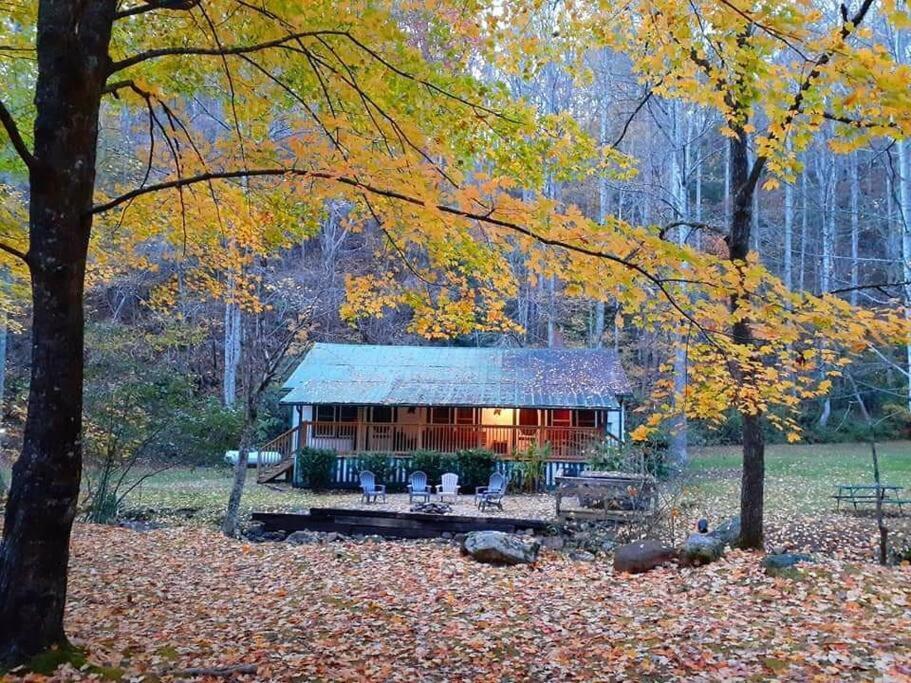 Creekside 1920'S Farmhouse Villa Bryson City Exterior foto